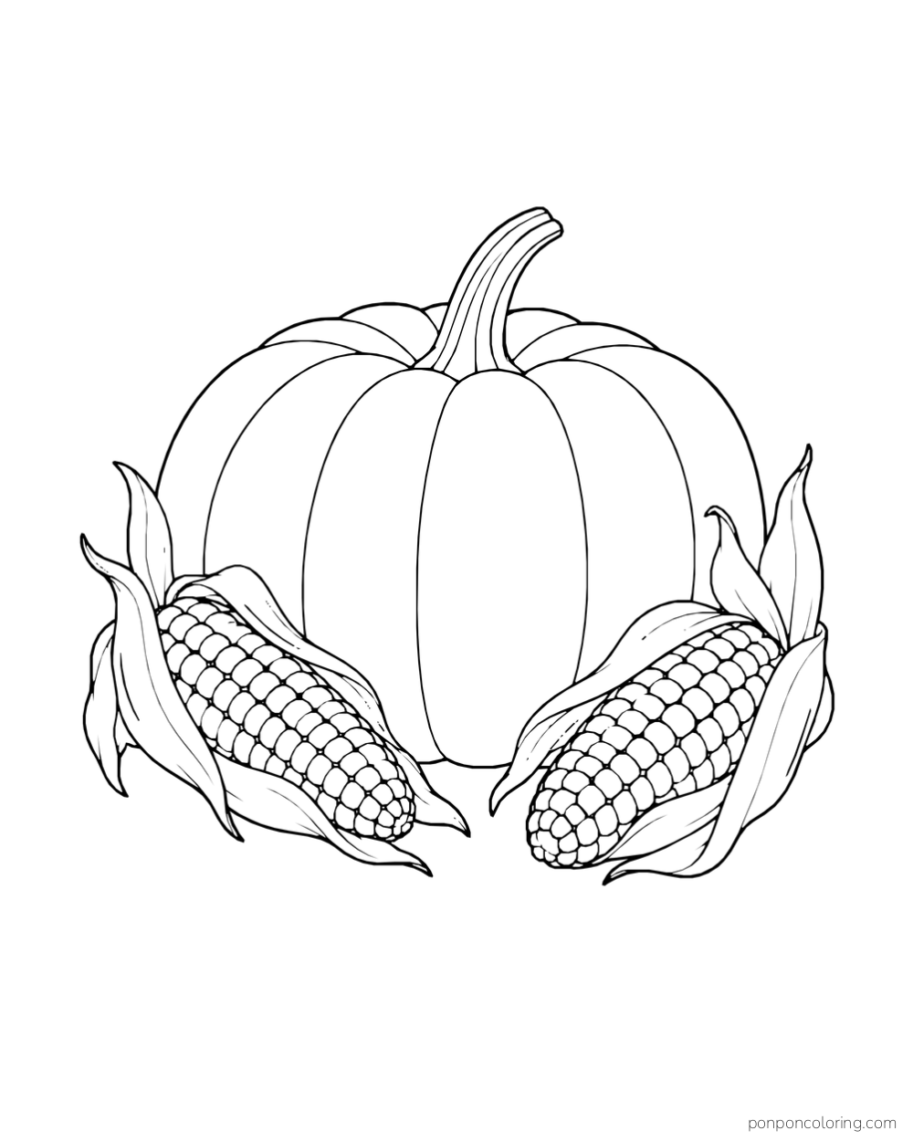 A broad pumpkin behind two ears of corn with their husks folded back.