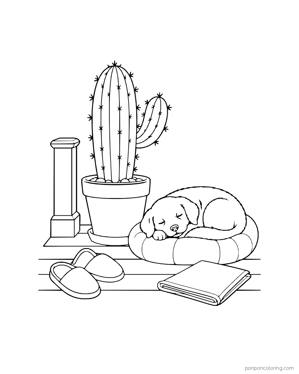 A puppy sleeps on a round cushion beside a tall potted porch cactus, slippers, and a folded paper.