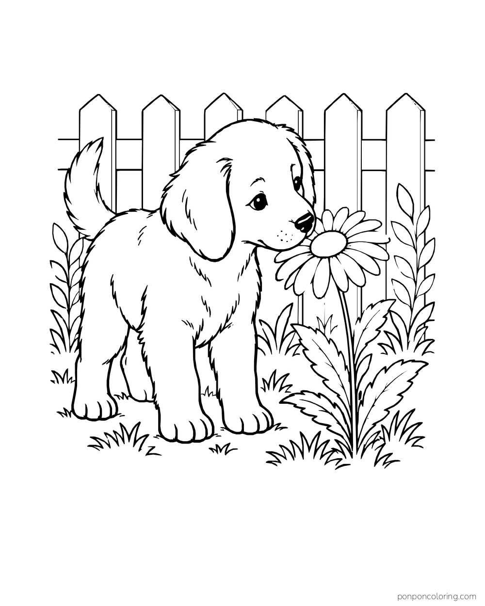 A puppy lowers its muzzle to a daisy beside a picket fence.