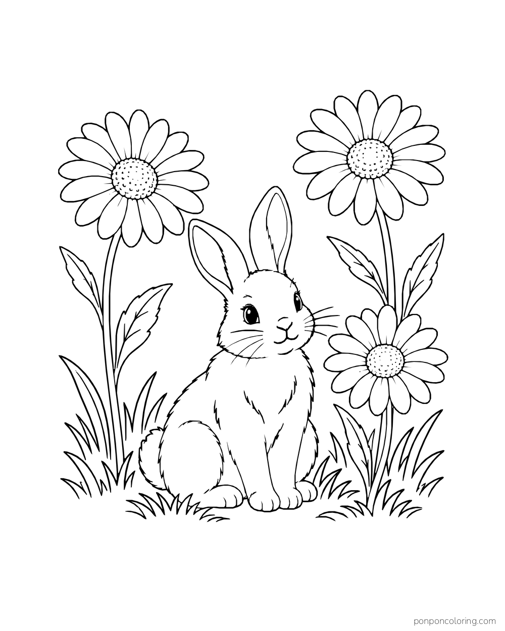 A rabbit sits between three tall daisies in a patch of grass.