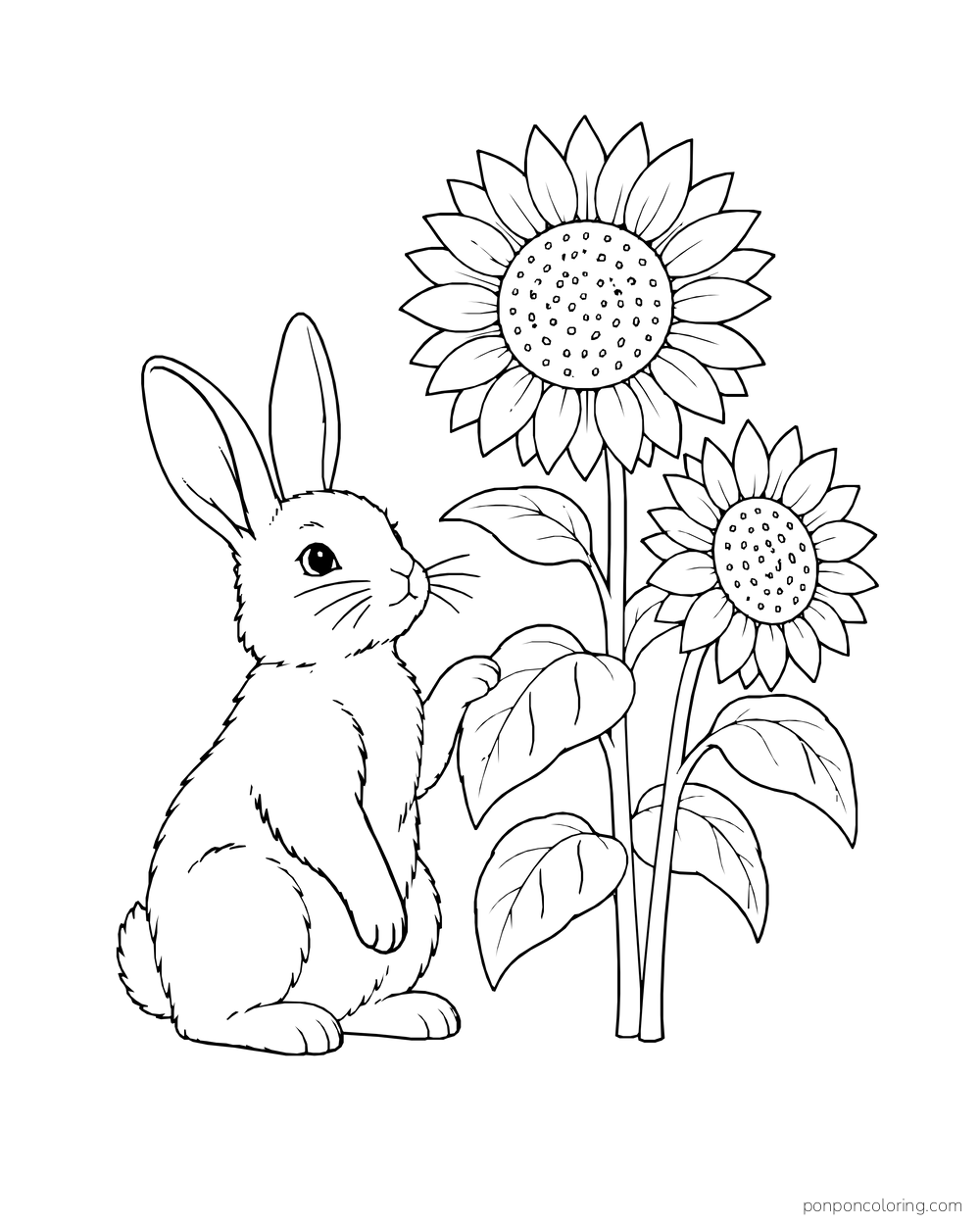 A rabbit sitting beside two sunflowers of different heights.