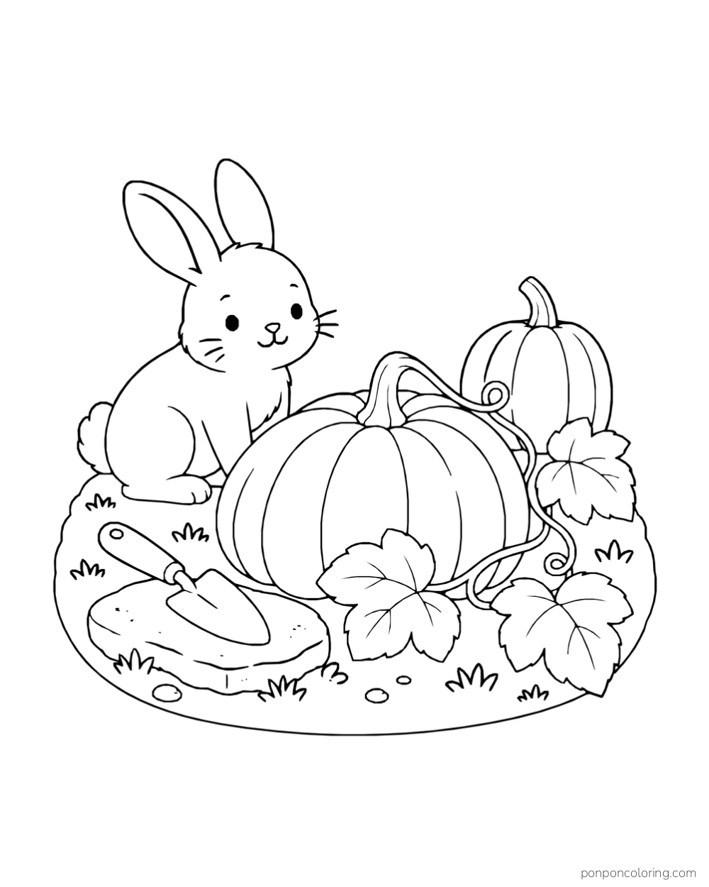A rabbit beside two pumpkins, large leaves and a trowel resting on a stone.