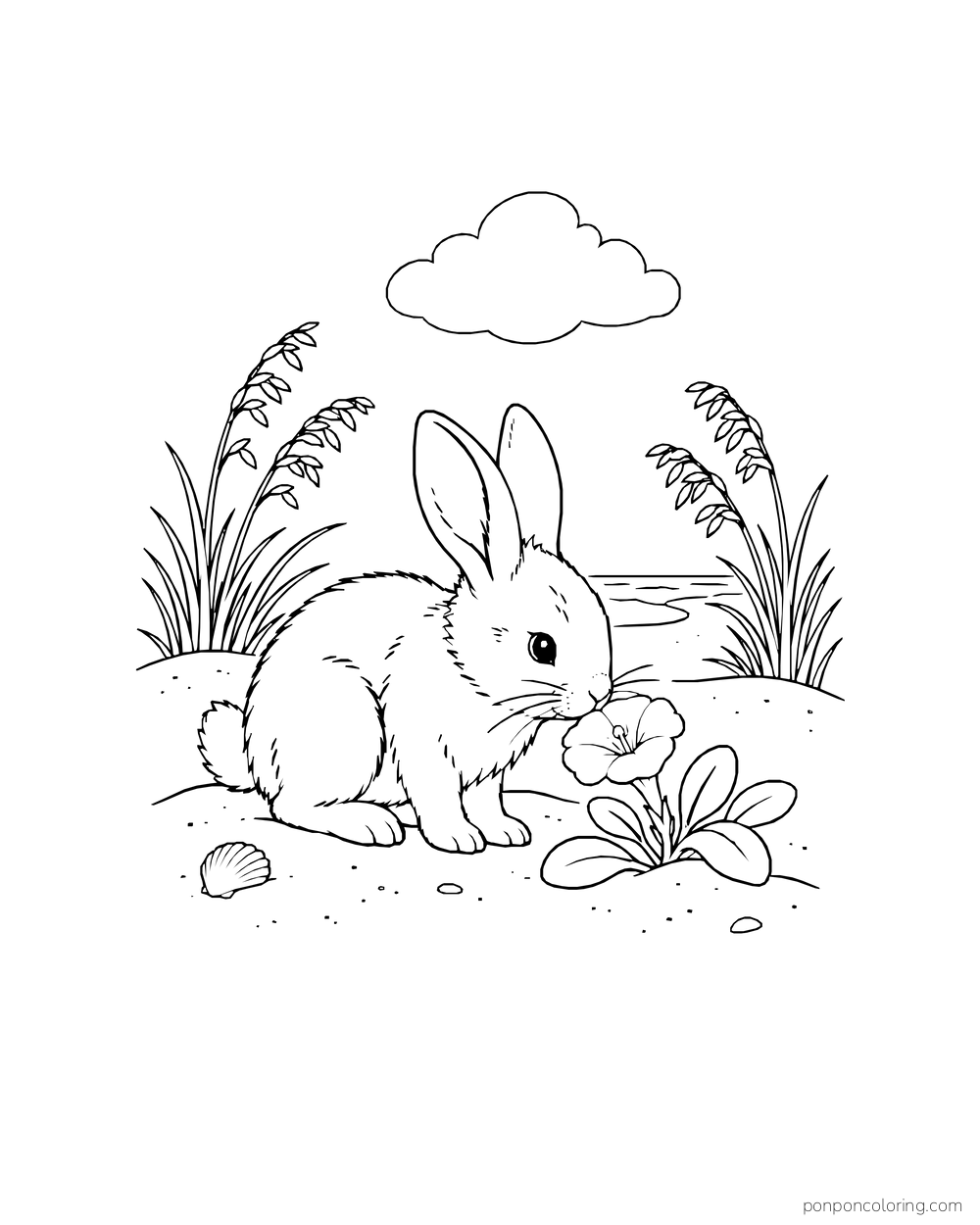 A rabbit sits between sea oats and sniffs a seaside flower.