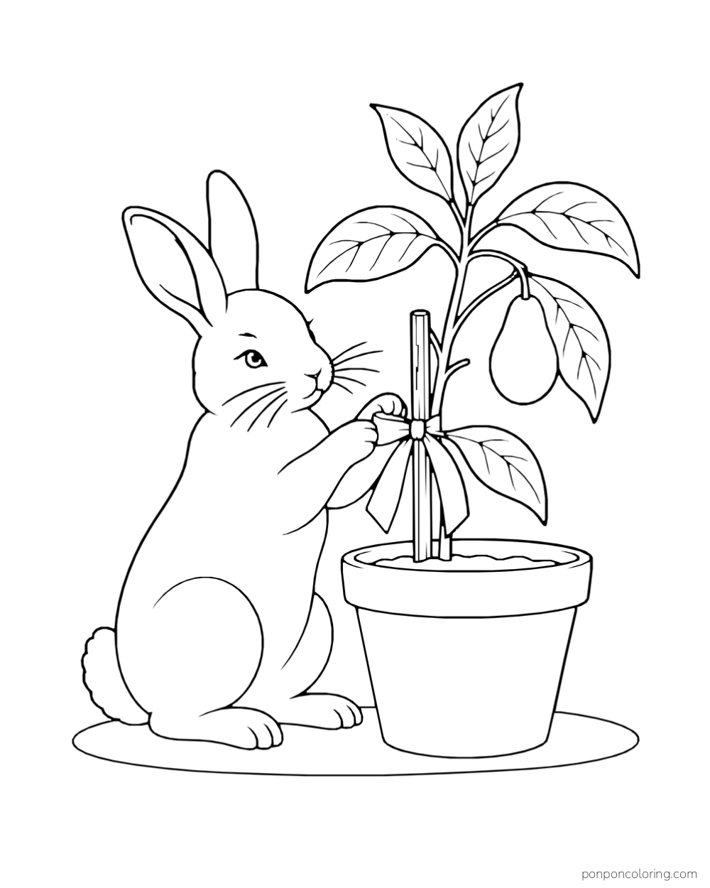 A rabbit ties a ribbon to the stake of a potted avocado sapling bearing one fruit.