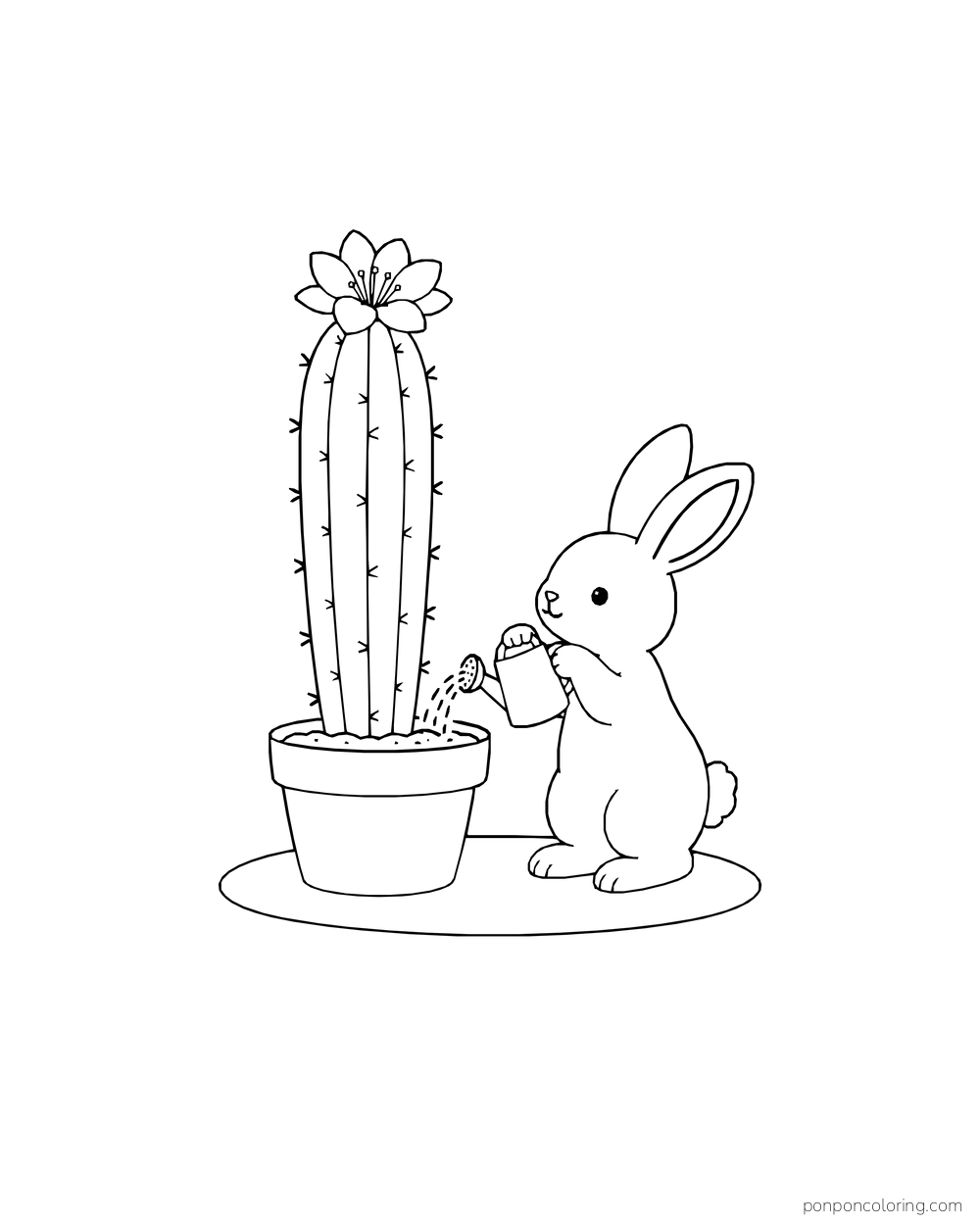 A rabbit pours water beside a tall flowering cactus in a plain pot.