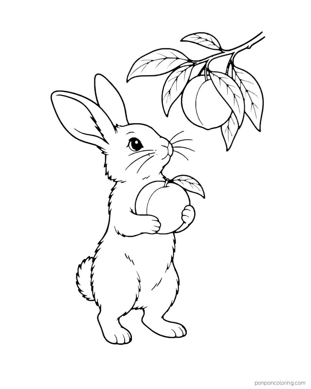Standing rabbit cradling a peach beneath a leafy branch.