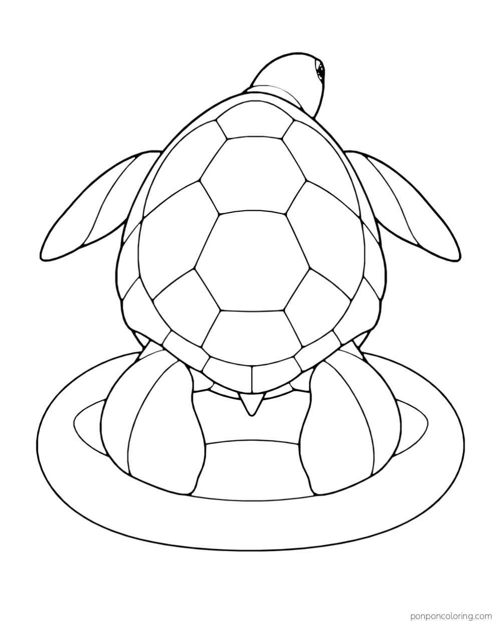 A sea turtle seen from behind spreads its paddles above a rounded sandy patch.