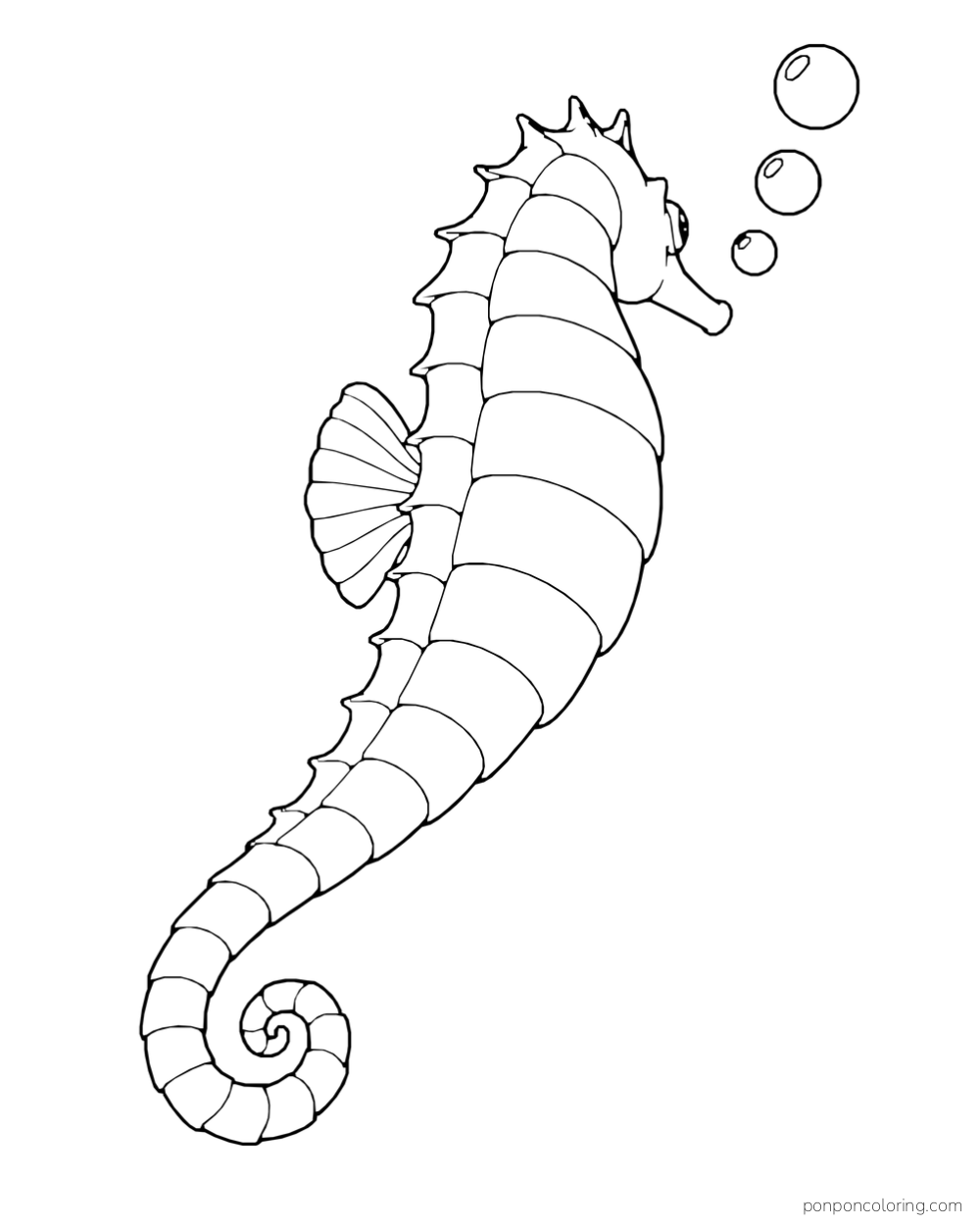 A seahorse seen from behind, with a curled tail, fan-shaped fin, and three bubbles near its head.