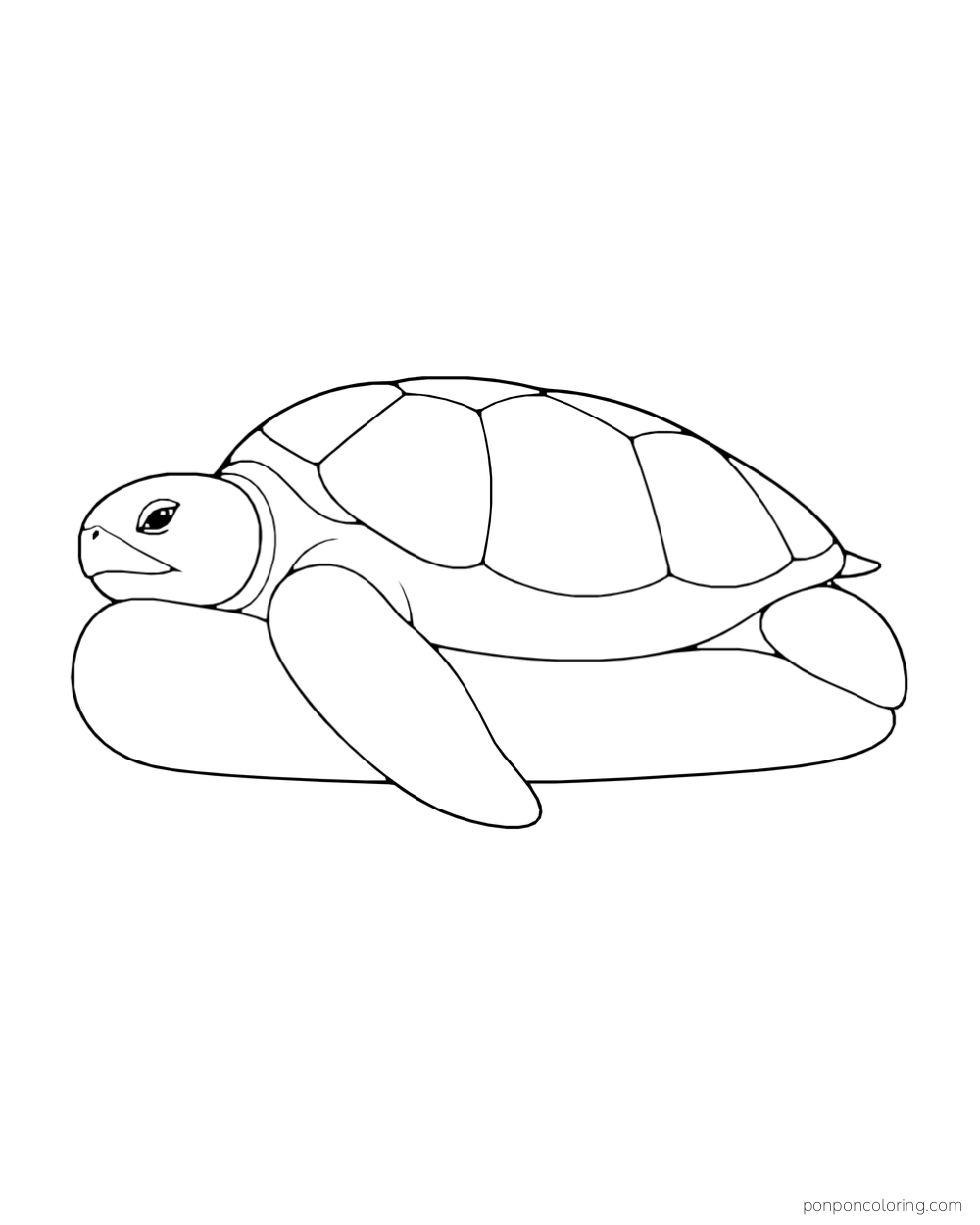 A sea turtle rests its head on a smooth low rock shelf with one flipper draped forward.