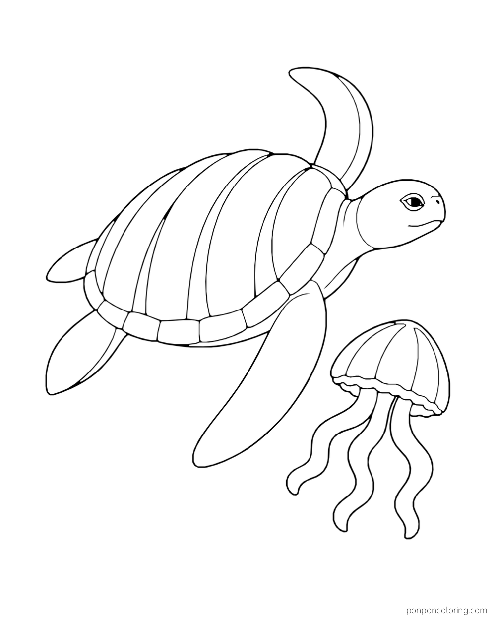 A sea turtle with long shell ridges swims beside a bell-shaped jellyfish with thick arms.
