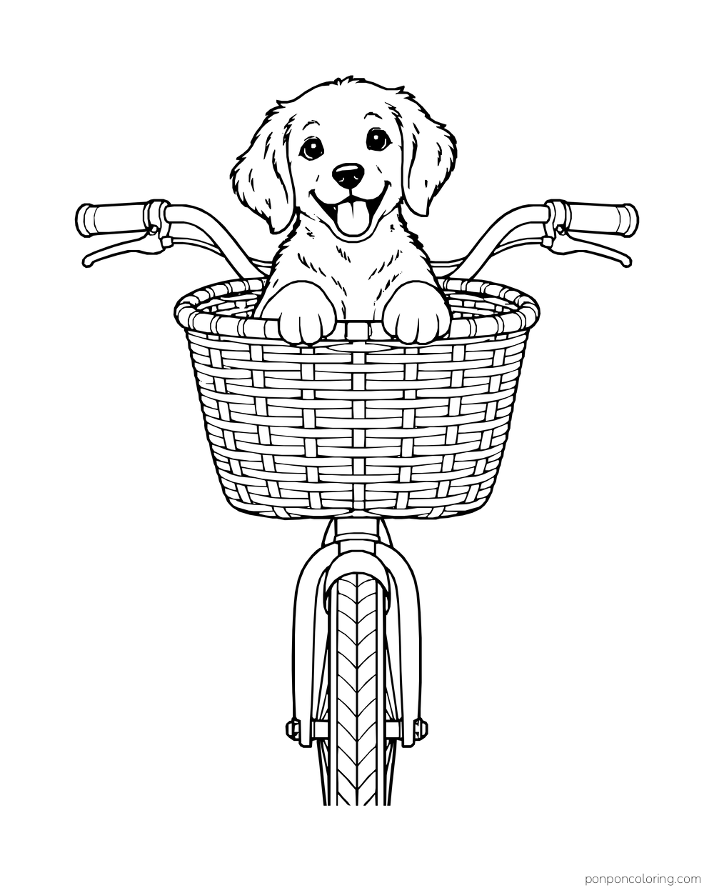 A puppy peeks over a woven bicycle basket between two handlebars and above the front wheel.