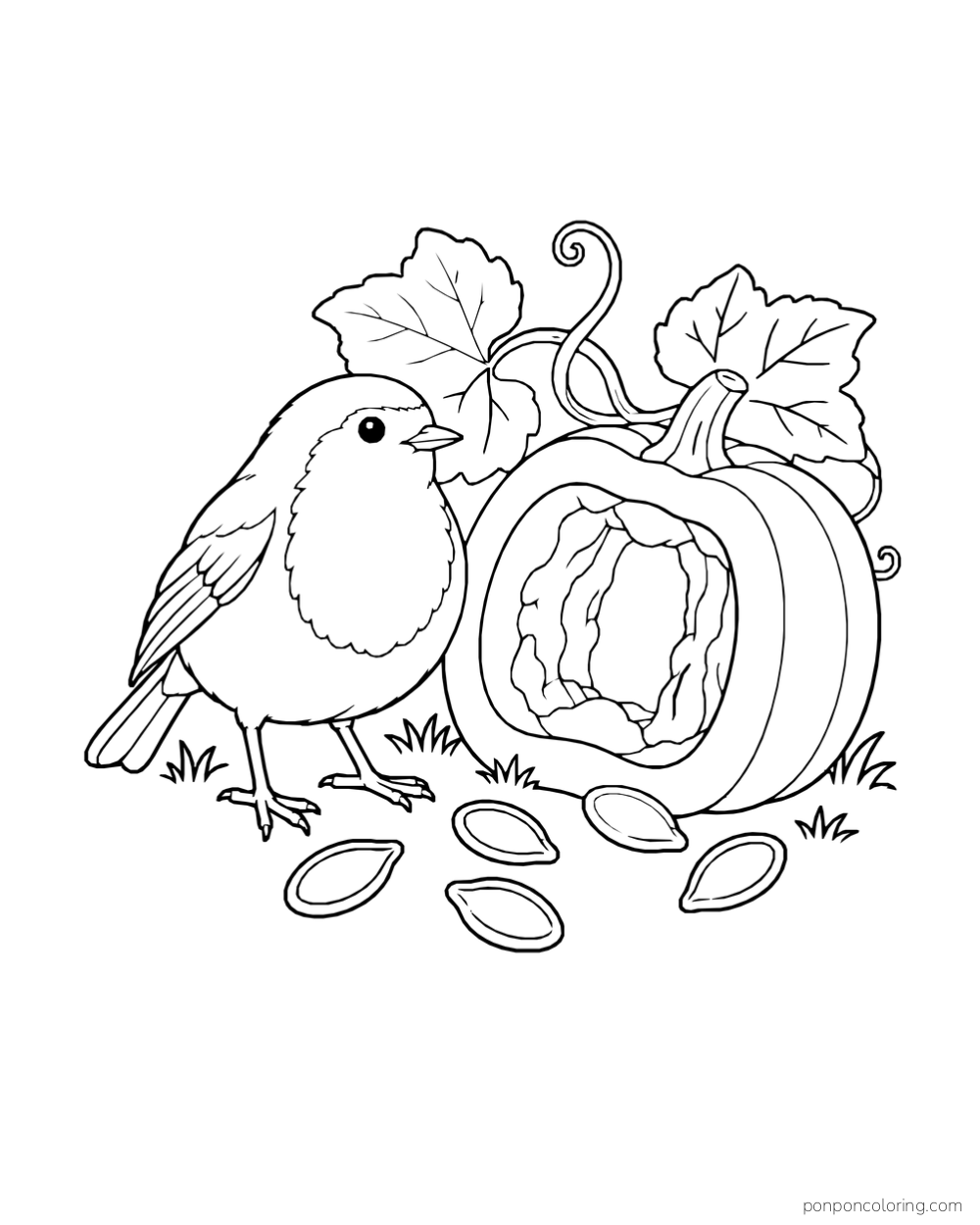 A robin beside a hollow pumpkin with five large seeds on the ground and leaves behind it.