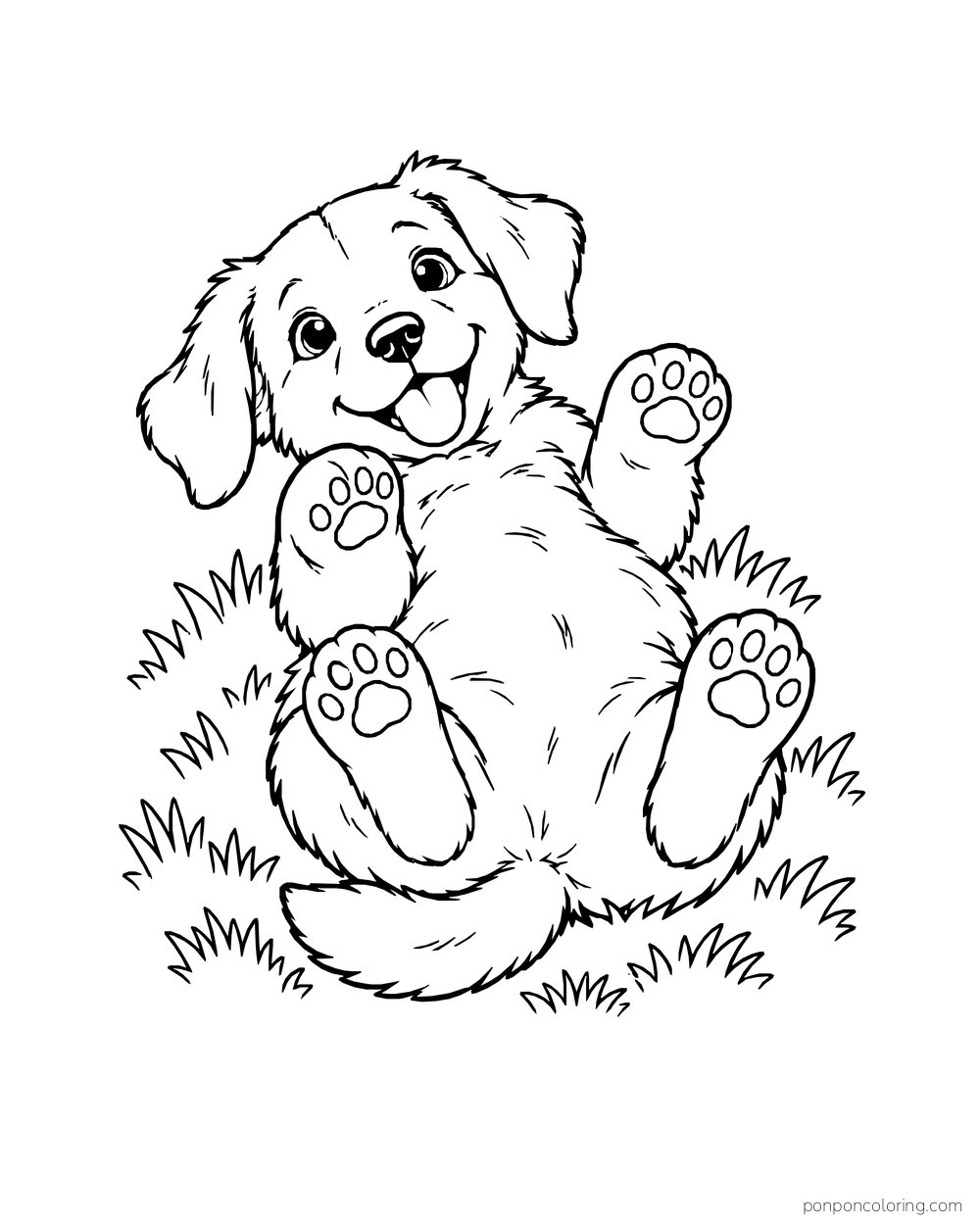 A puppy rolls on its back in the grass with four paw pads facing upward.