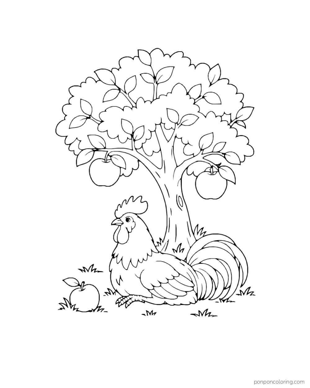 Rooster resting beneath an apple tree with two apples on branches and one on the ground