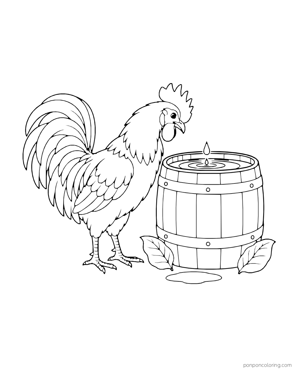 Rooster standing beside a rain barrel as a drop falls into the water