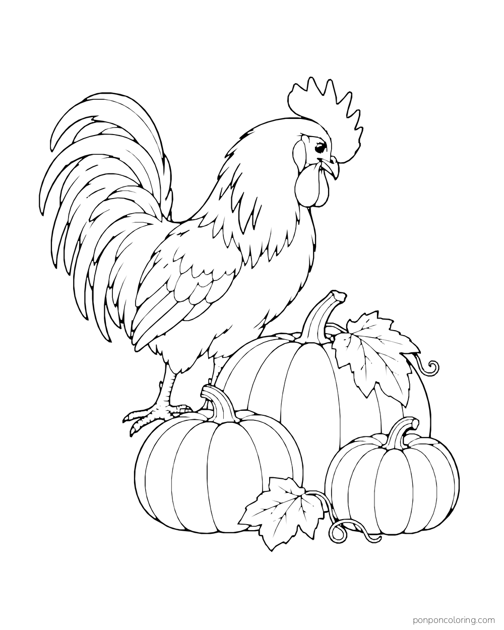 Rooster standing behind three large pumpkins with a leaf draped over one