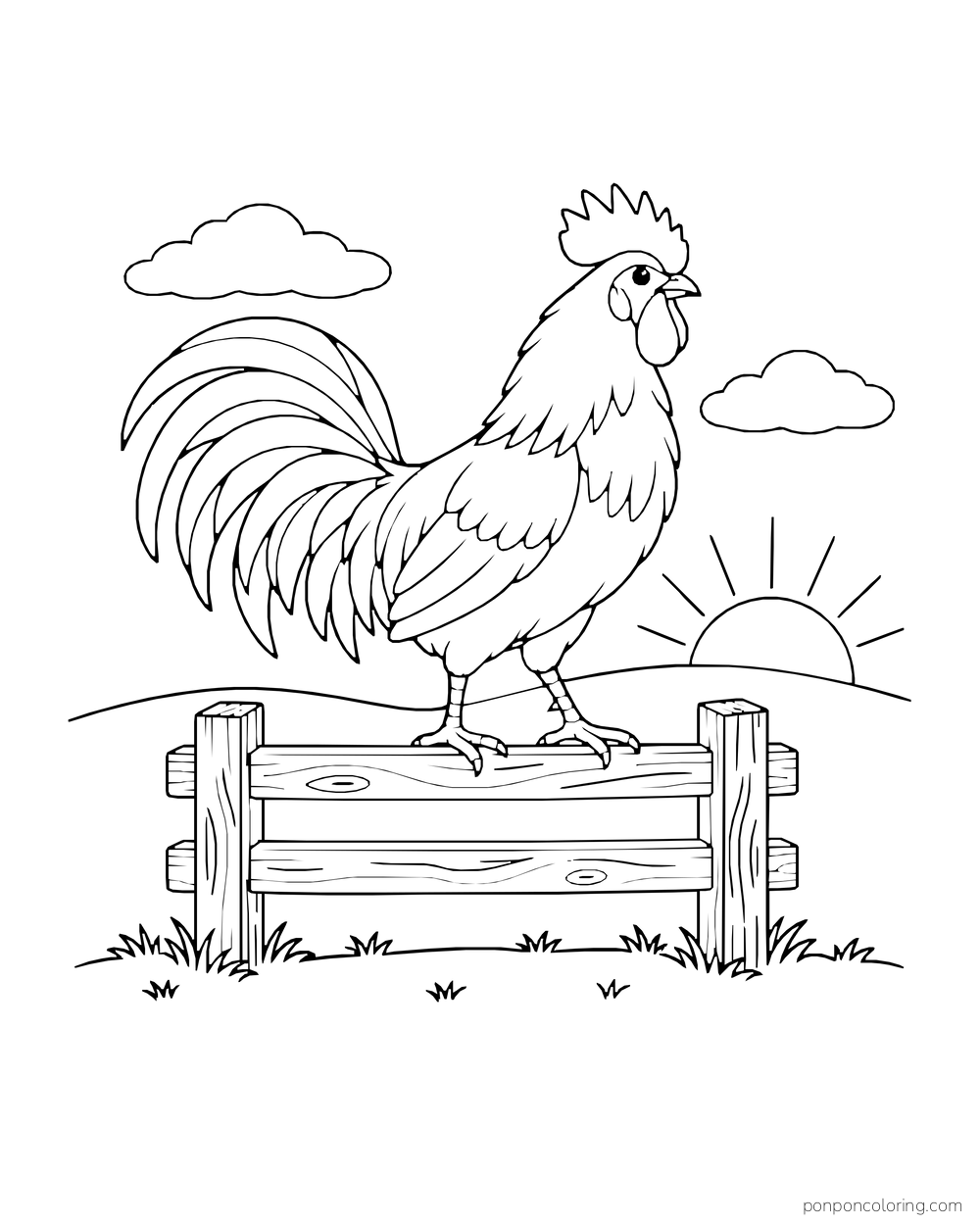 Adult rooster standing on a short wooden fence with the sun rising behind him
