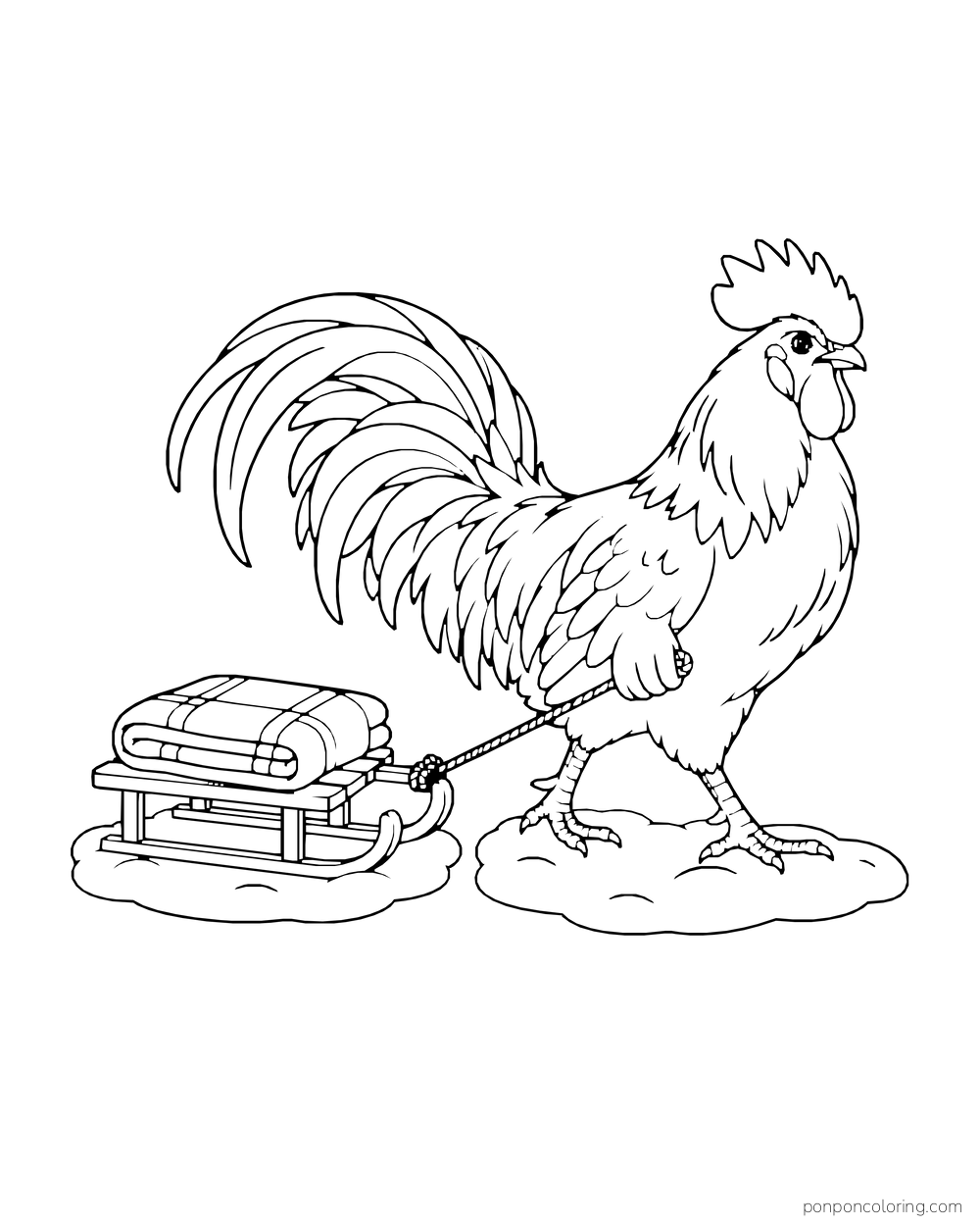 Rooster pulling a small wooden sled carrying a folded blanket