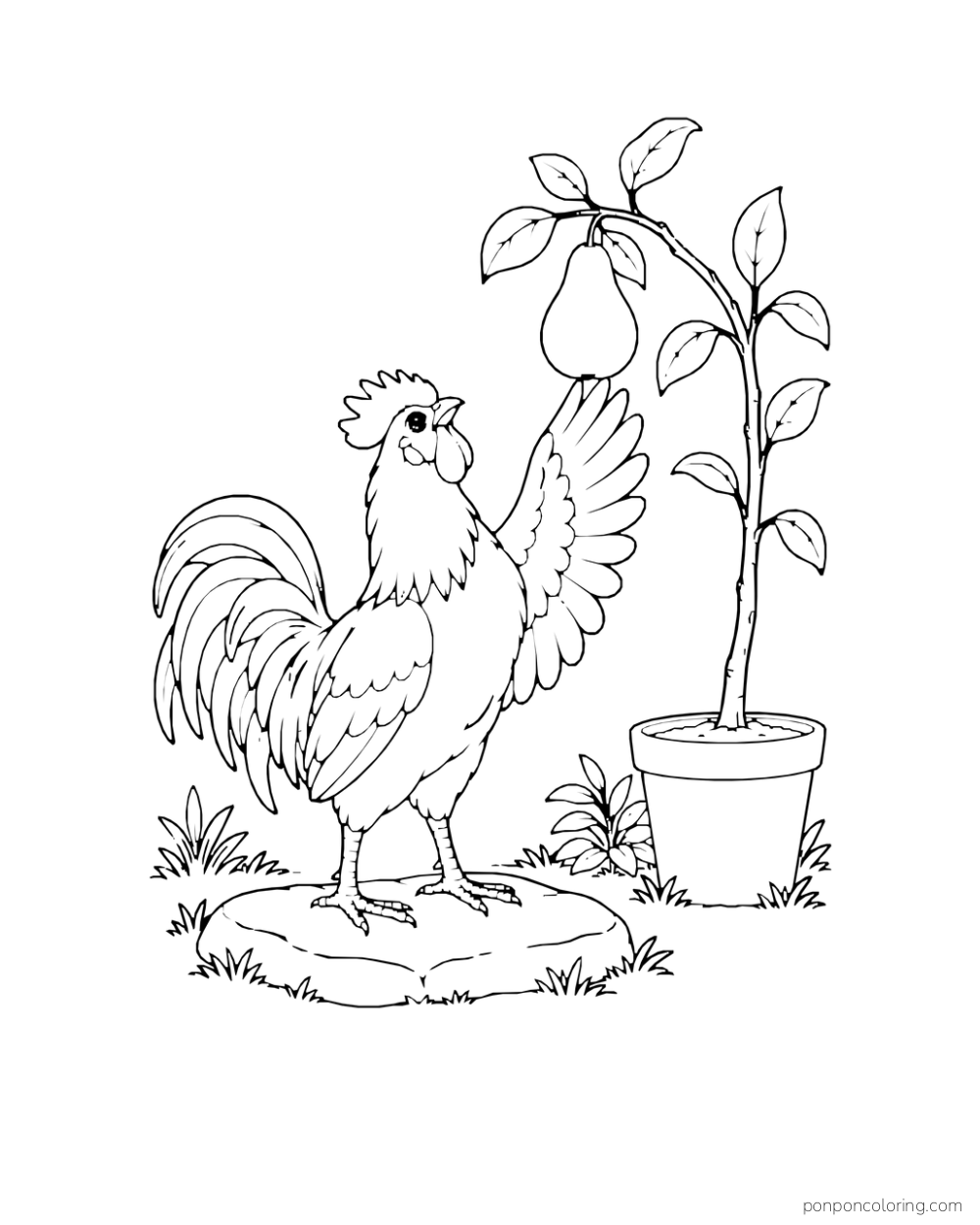 Rooster stretching a wing toward a pear hanging from a small potted sapling