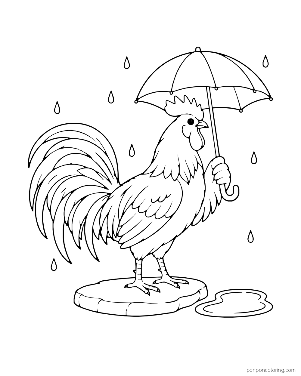 Rooster standing on a stone beneath an umbrella near a puddle