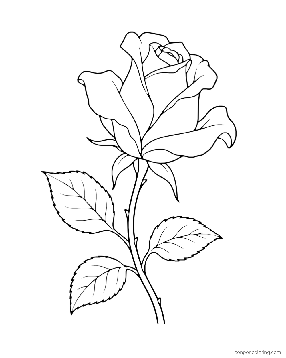 Side-facing rose with lifted petals and three leaves on a single stem.