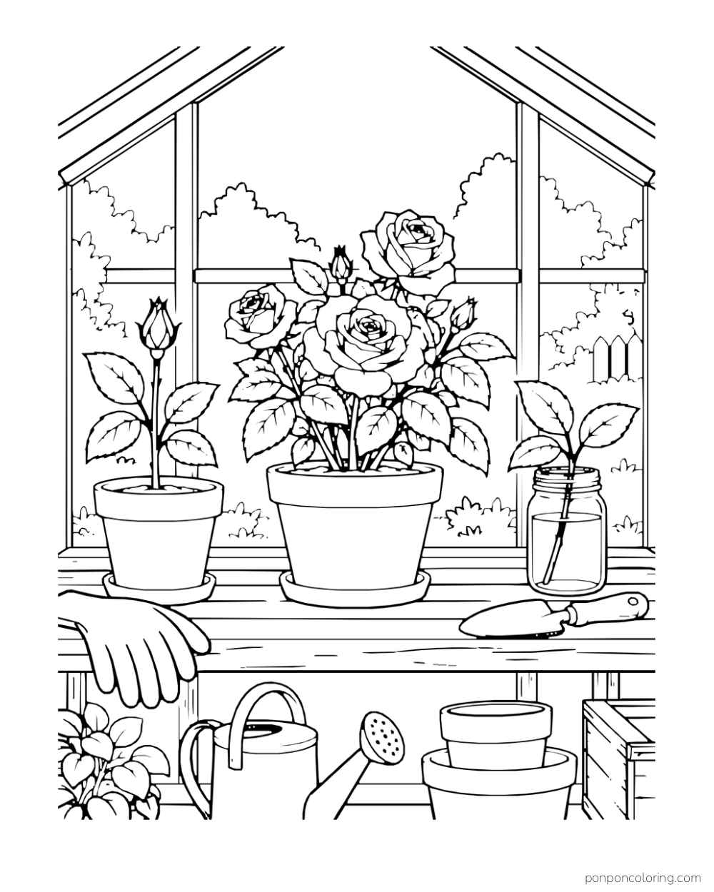 Three different rose containers on a greenhouse shelf with gloves, pots and a watering can.
