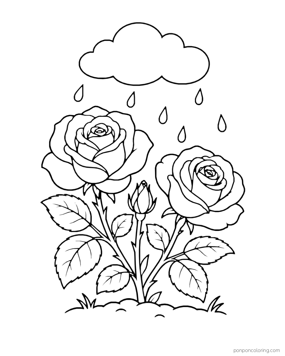 Two roses growing below a rounded rain cloud with spaced droplets.