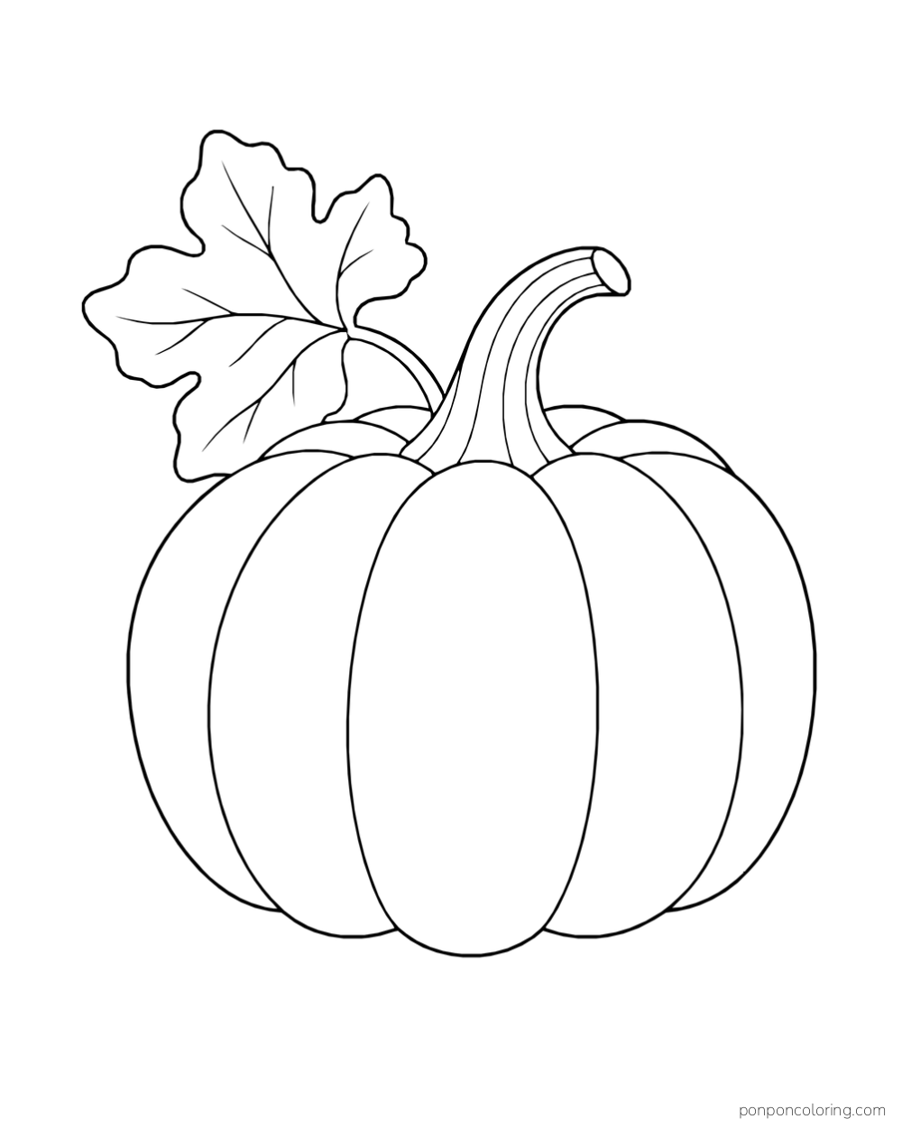 A broad ribbed pumpkin with a curved stem and a large lobed leaf.
