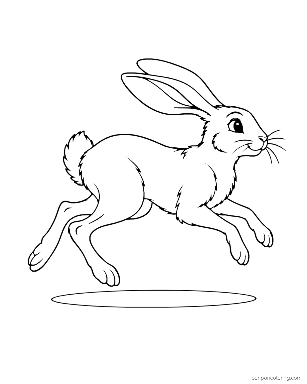 A rabbit runs in side profile with ears swept back and a small shadow below.