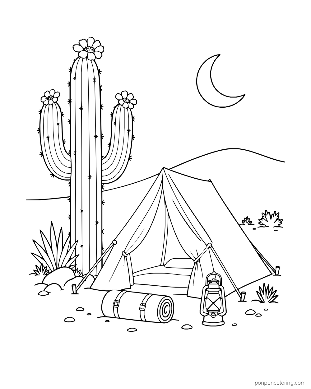 A flowering saguaro rises beside an open desert tent, rolled mat, and lantern under the moon.