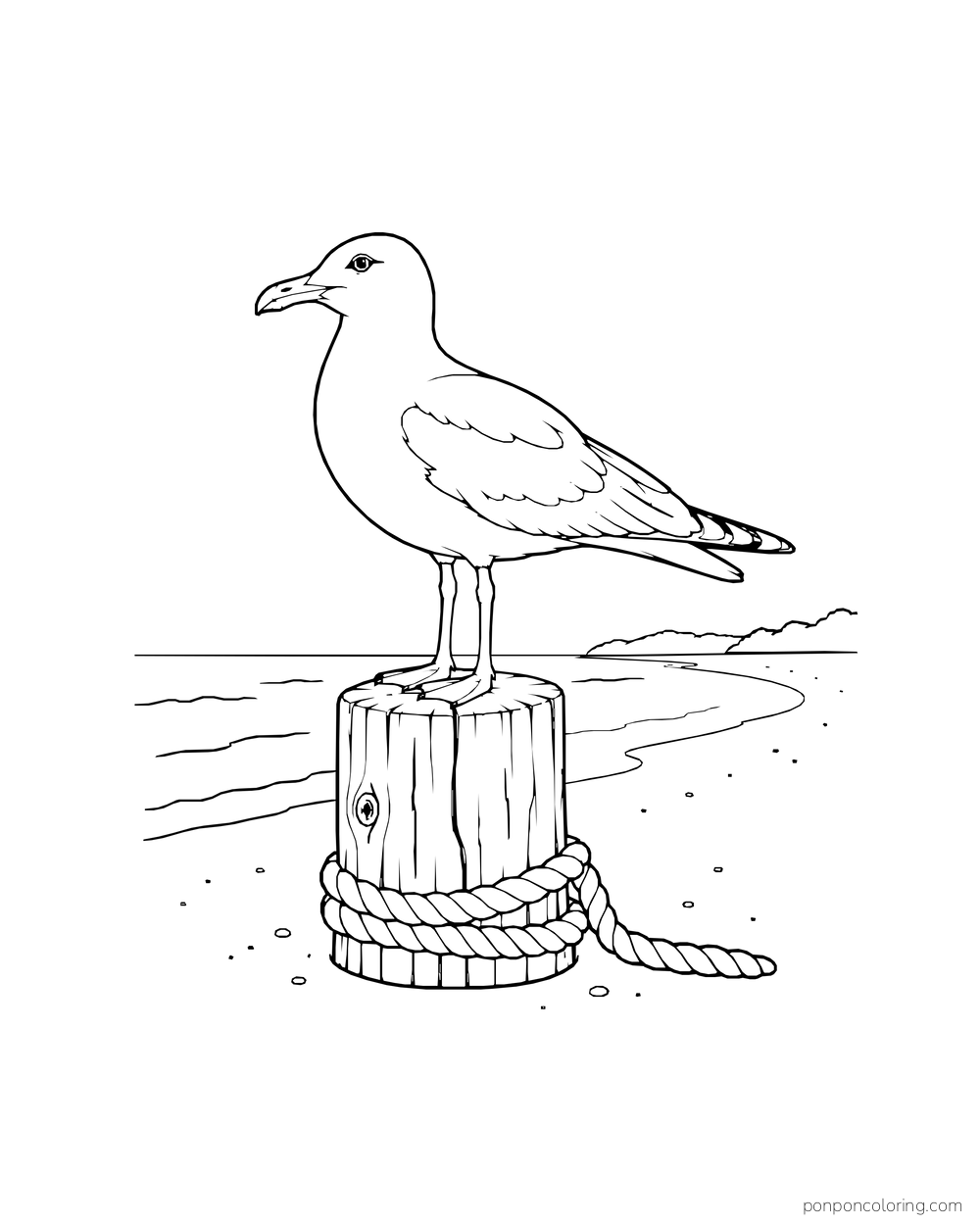 A seagull stands on a short wooden post with a coil of rope at its base.