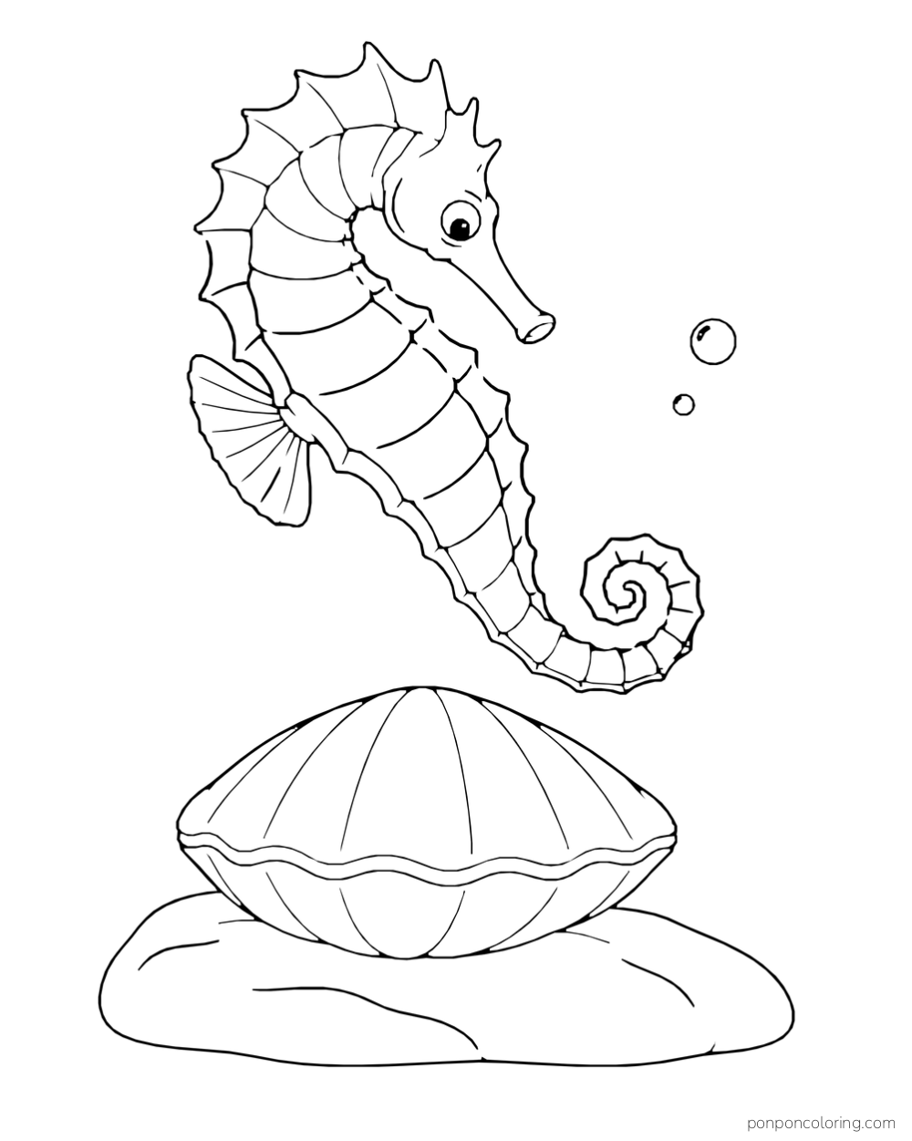 A seahorse above a broad closed clam shell resting on a smooth stone.