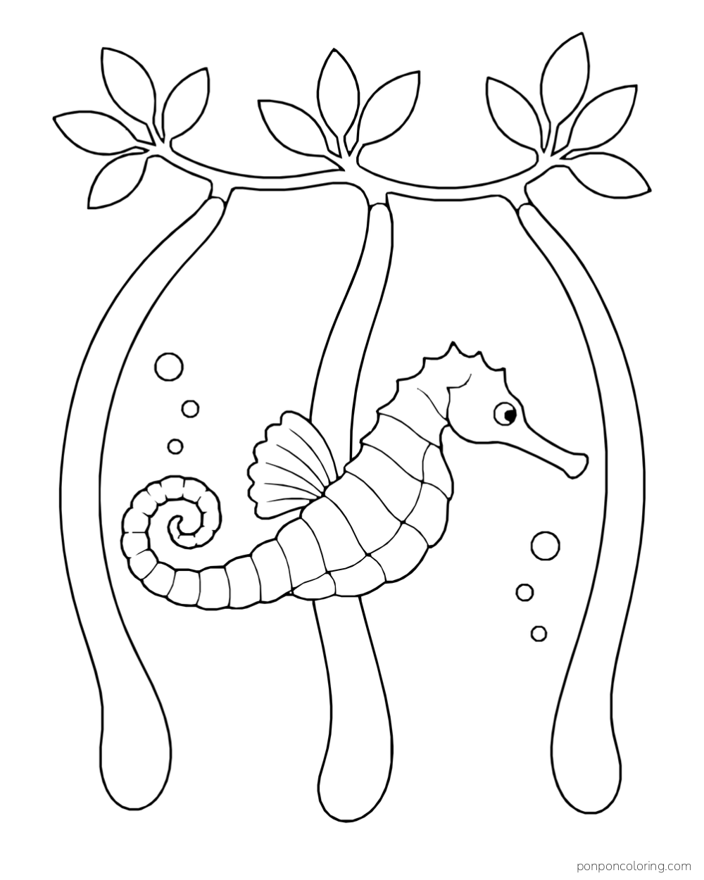 A seahorse swimming between three long arching roots with leaves overhead and bubbles nearby.