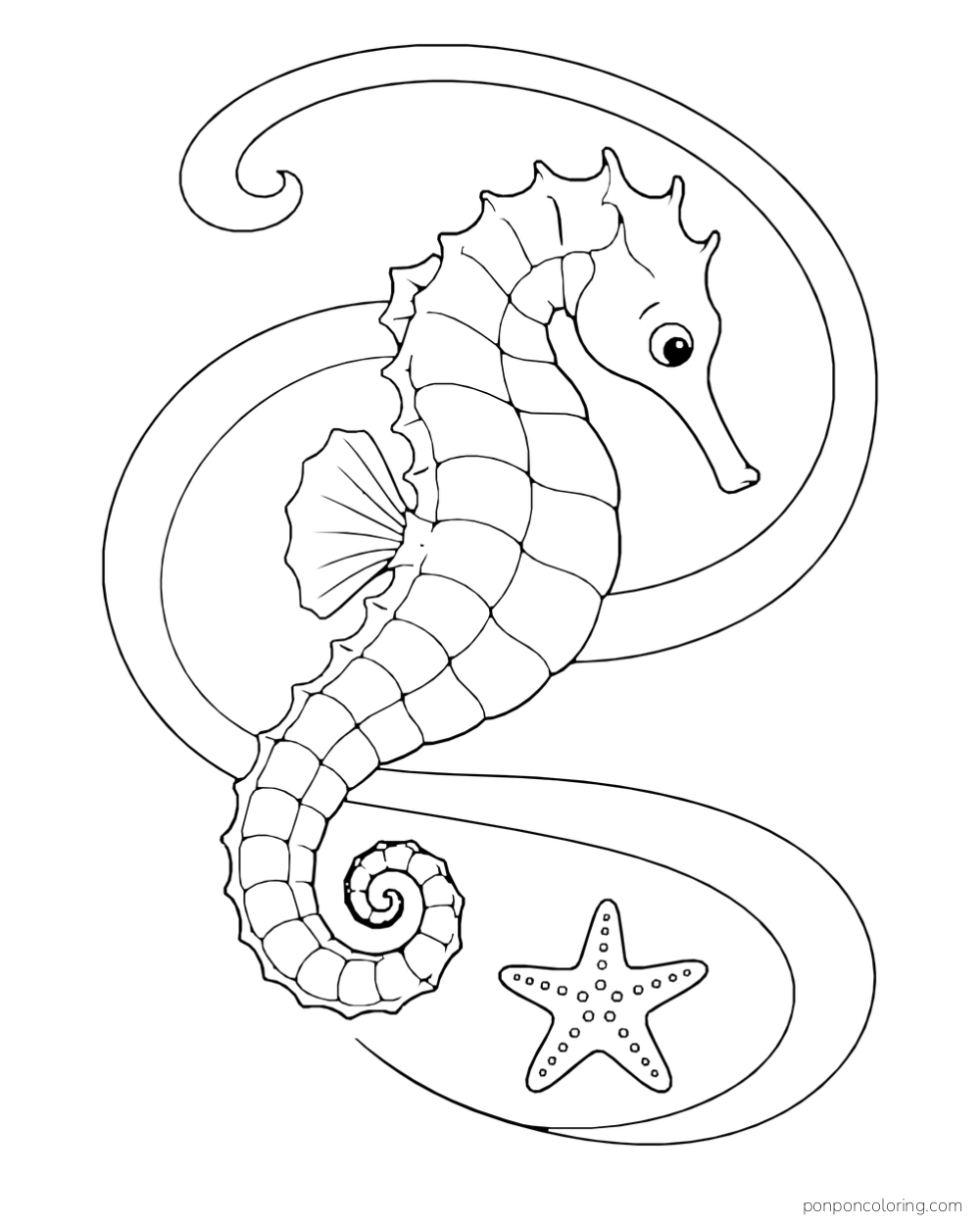 A seahorse among wide curling bands of current above a starfish and small pebbles.