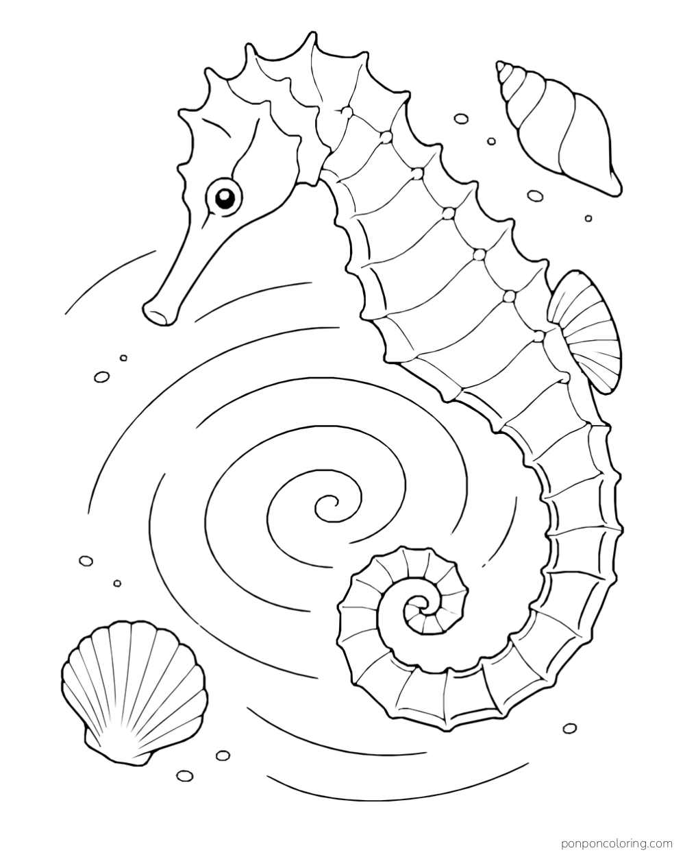 A seahorse beside a broad spiral ripple with two shells and scattered bubbles.