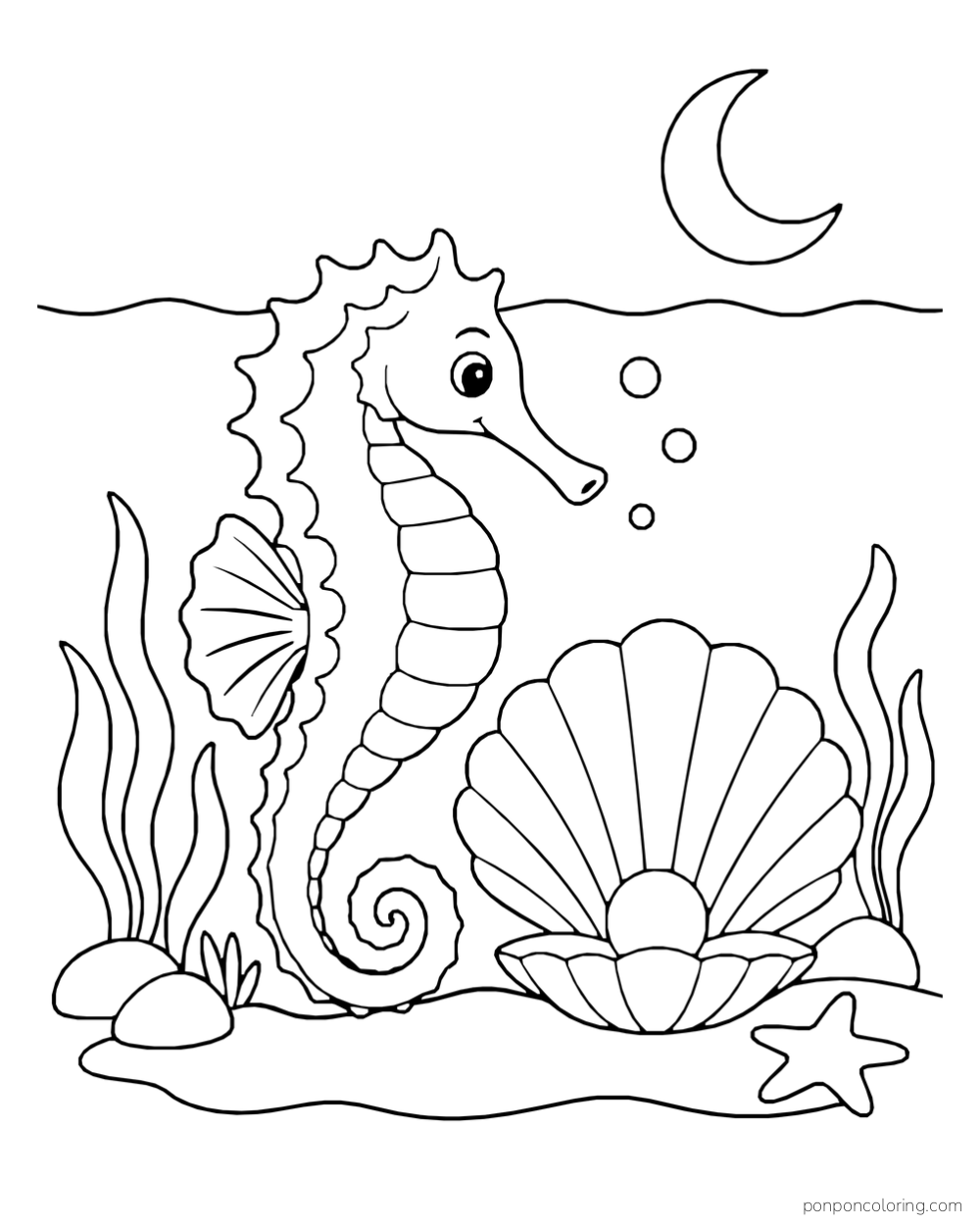 A seahorse beside a large open fan shell below a waterline, with a crescent moon above.