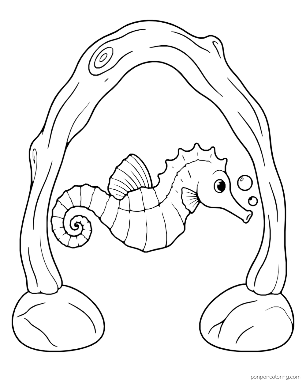 A seahorse beneath a curved branch supported by two stones, with bubbles near its head.