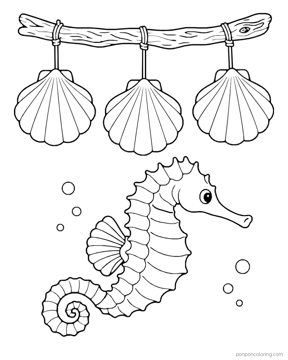 A seahorse below three fan shells hanging by strings from a horizontal branch.