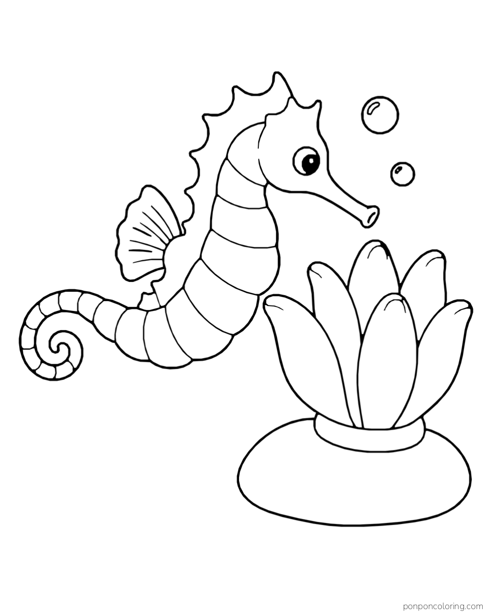 A seahorse beside a broad sea anemone on a rounded stone, with two bubbles overhead.