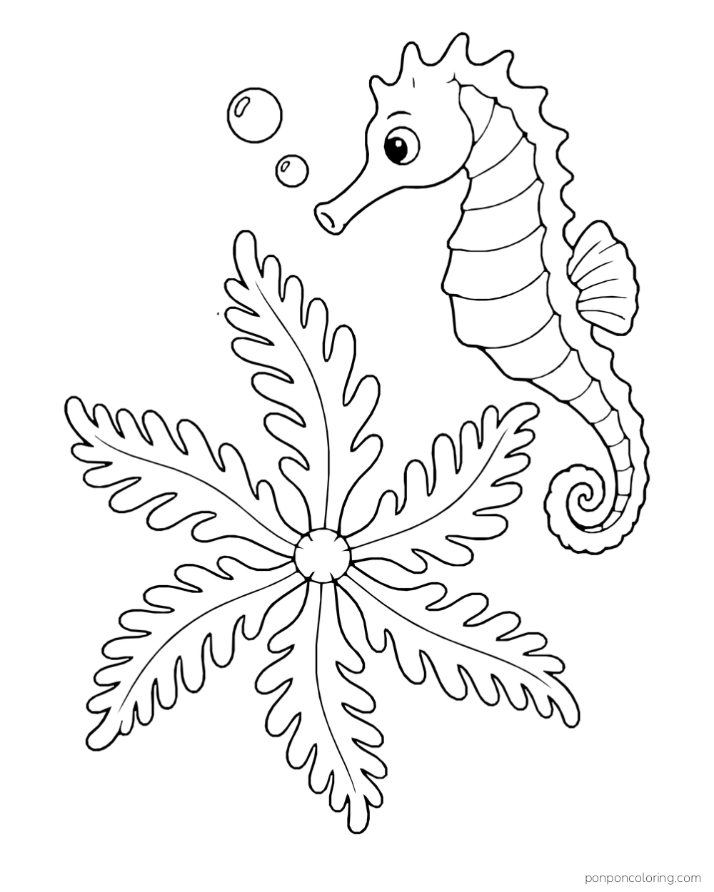 A seahorse beside a large feathery star-shaped form with several branching arms and two bubbles.