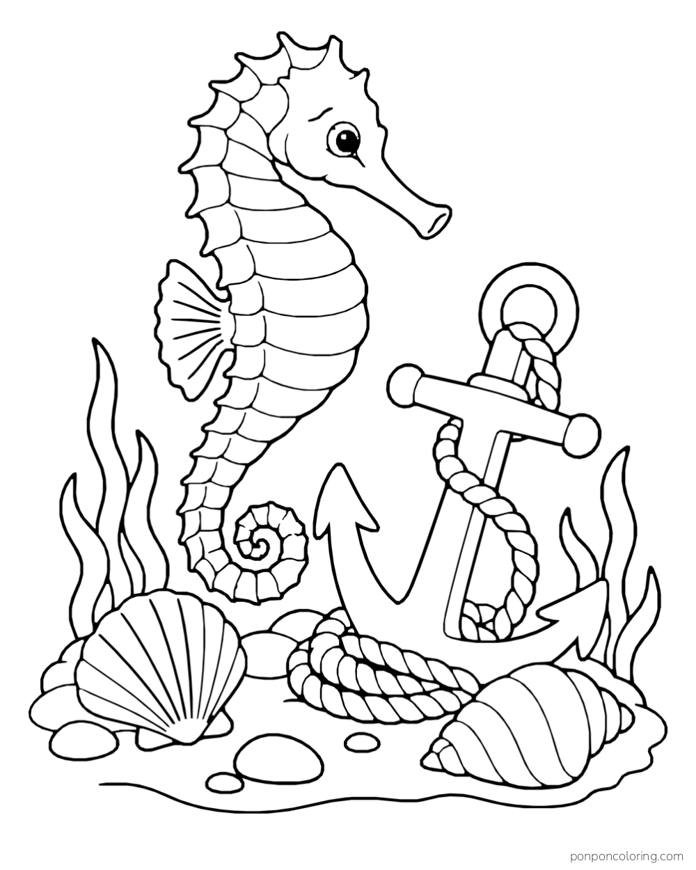 A seahorse beside a large anchor and coiled rope, with two shells and sea plants nearby.