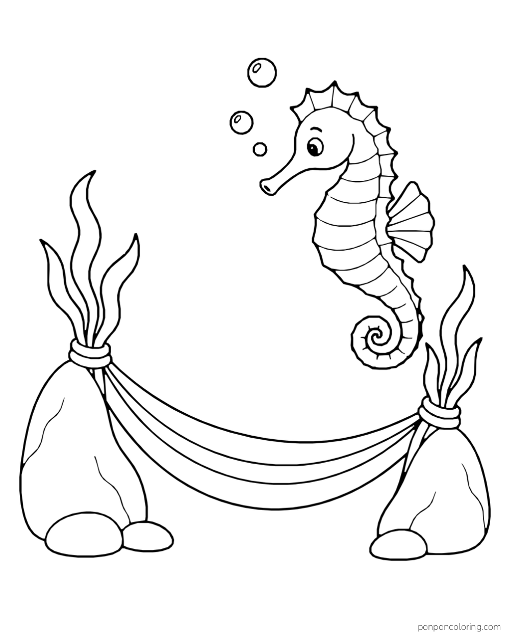 A seahorse swims beside an empty three-band hammock stretched between two smooth rocks.