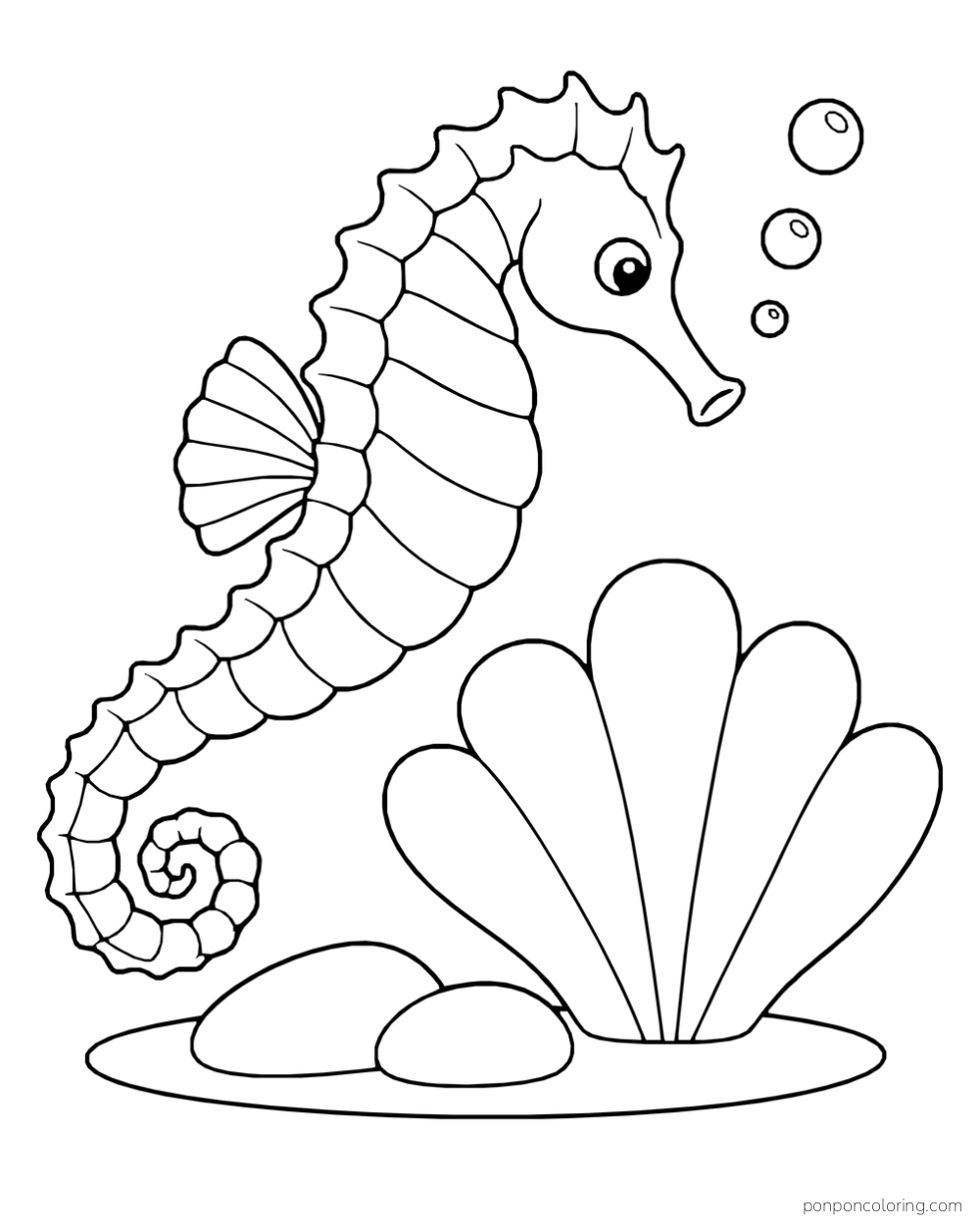 A seahorse beside broad fan-shaped coral and two smooth rocks, with bubbles above.