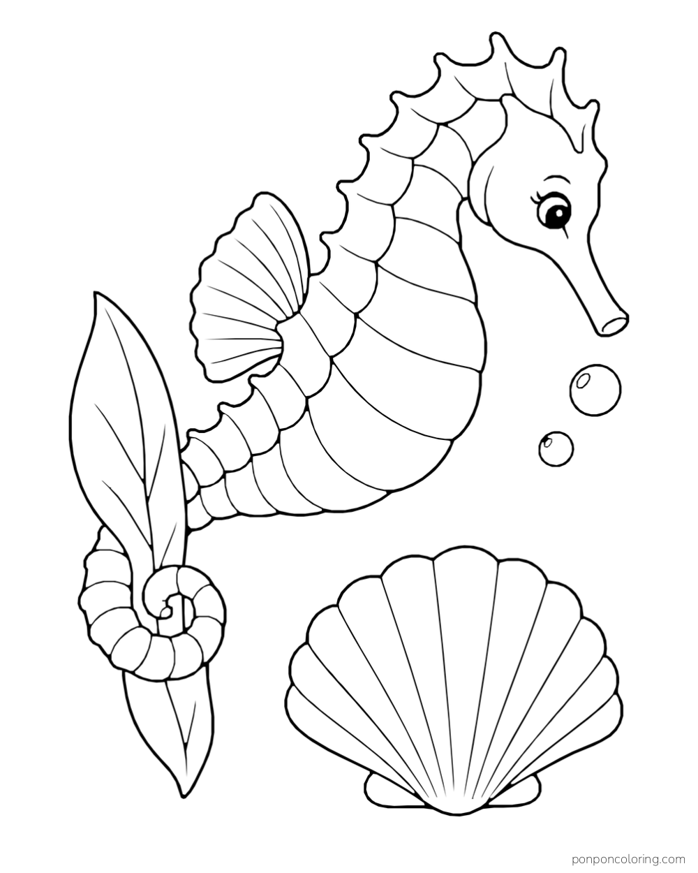 A seahorse with its tail curled around a broad seagrass blade beside a fan shell and two bubbles.