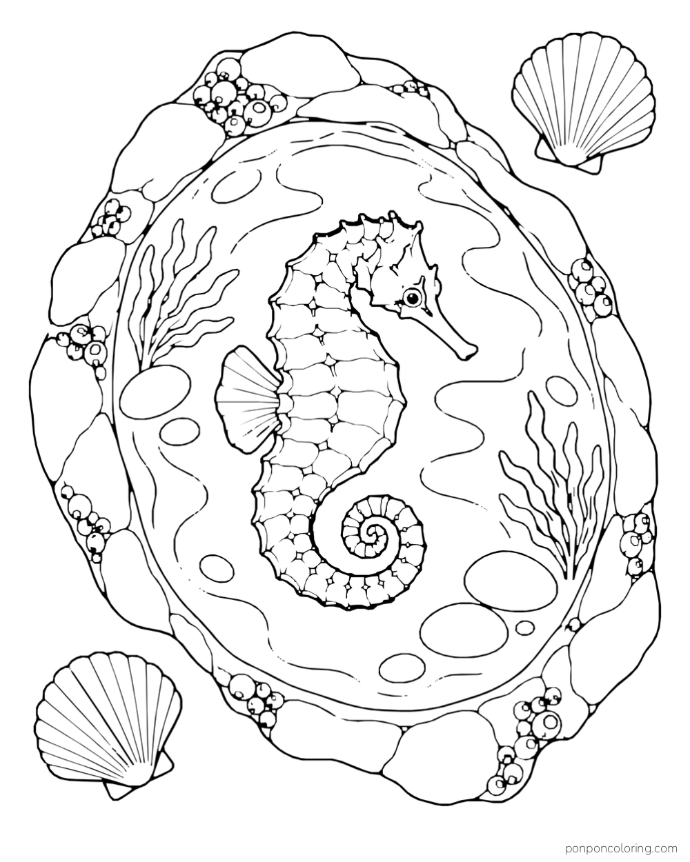 A seahorse inside an oval tide pool edged with rocks and small sea plants, with two fan shells outside.