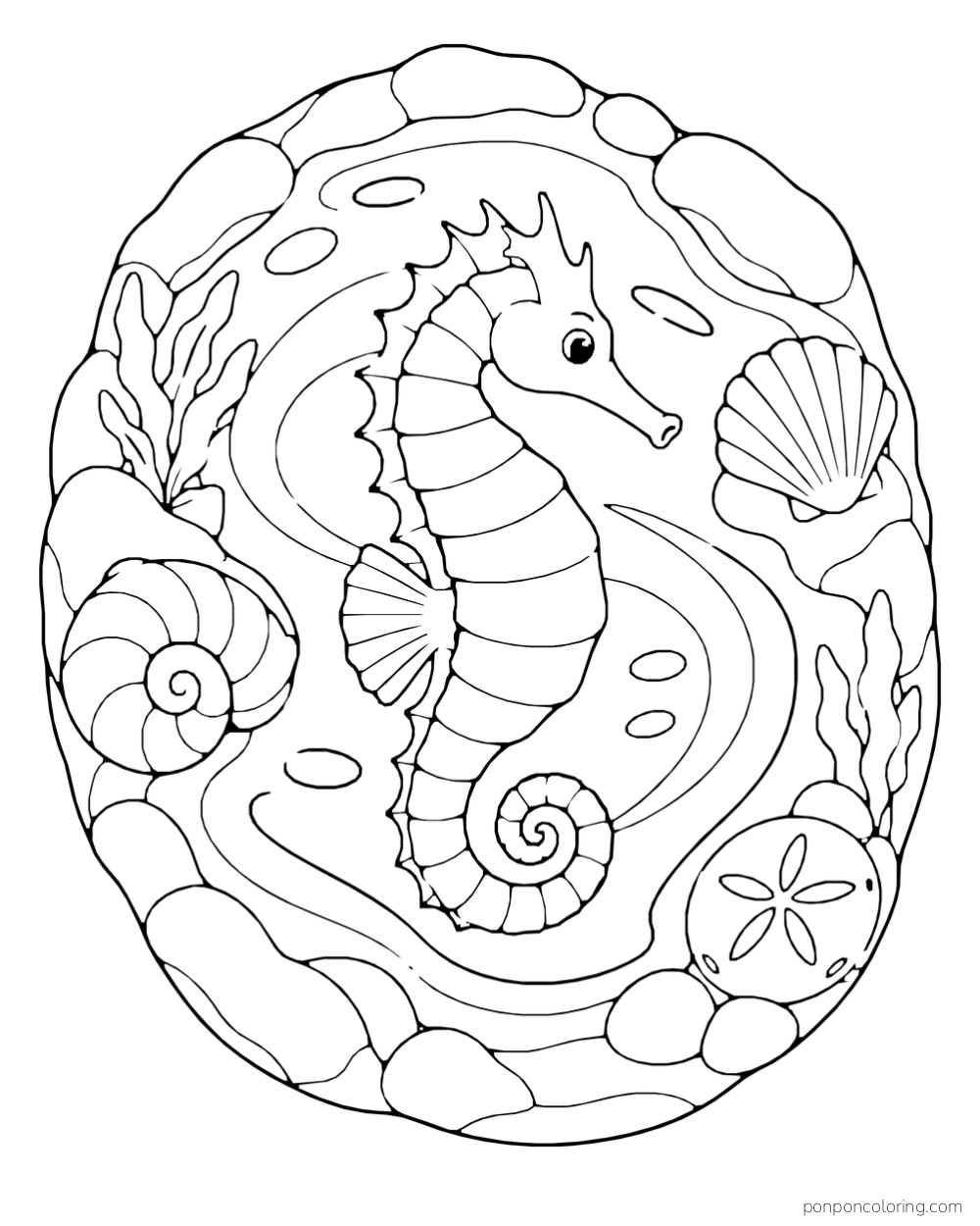 A seahorse in the middle of a spiral of broad water bands surrounded by shells, rocks, and sea plants.