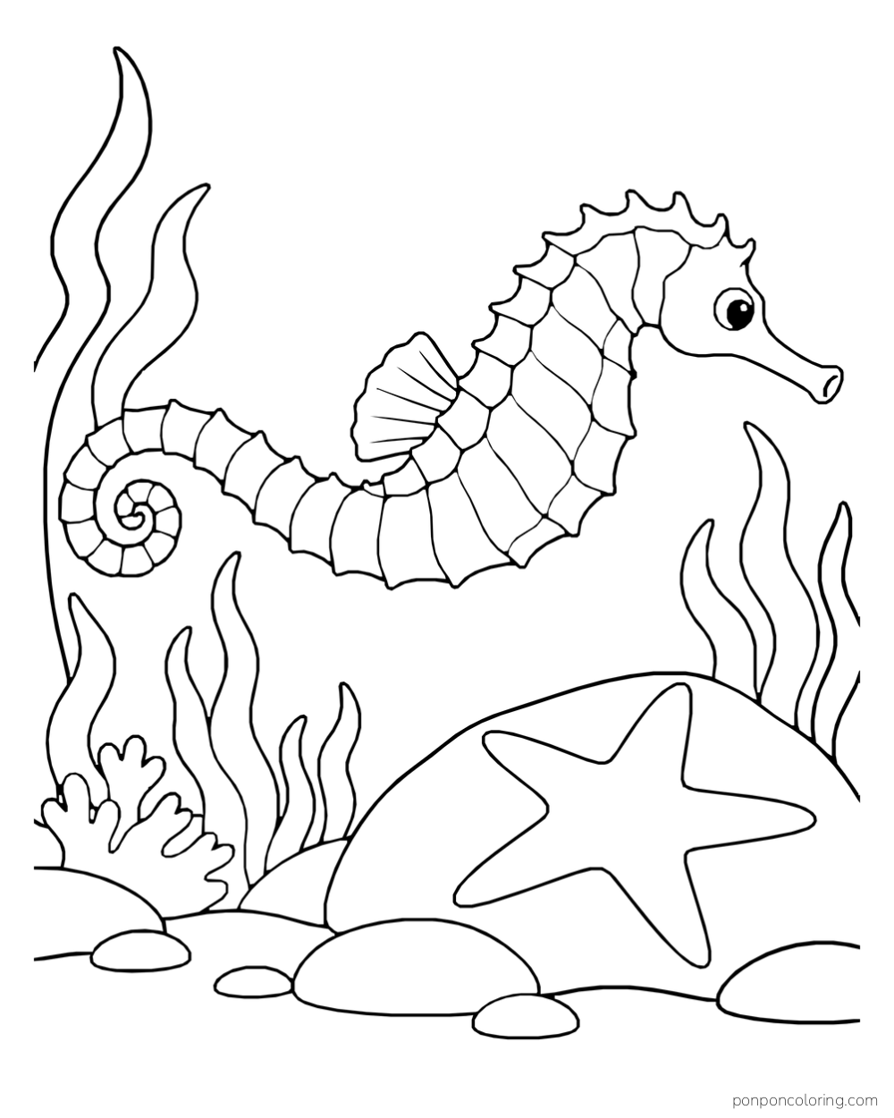 A long seahorse swimming above a starfish on a broad rock, with tall sea plants around them.