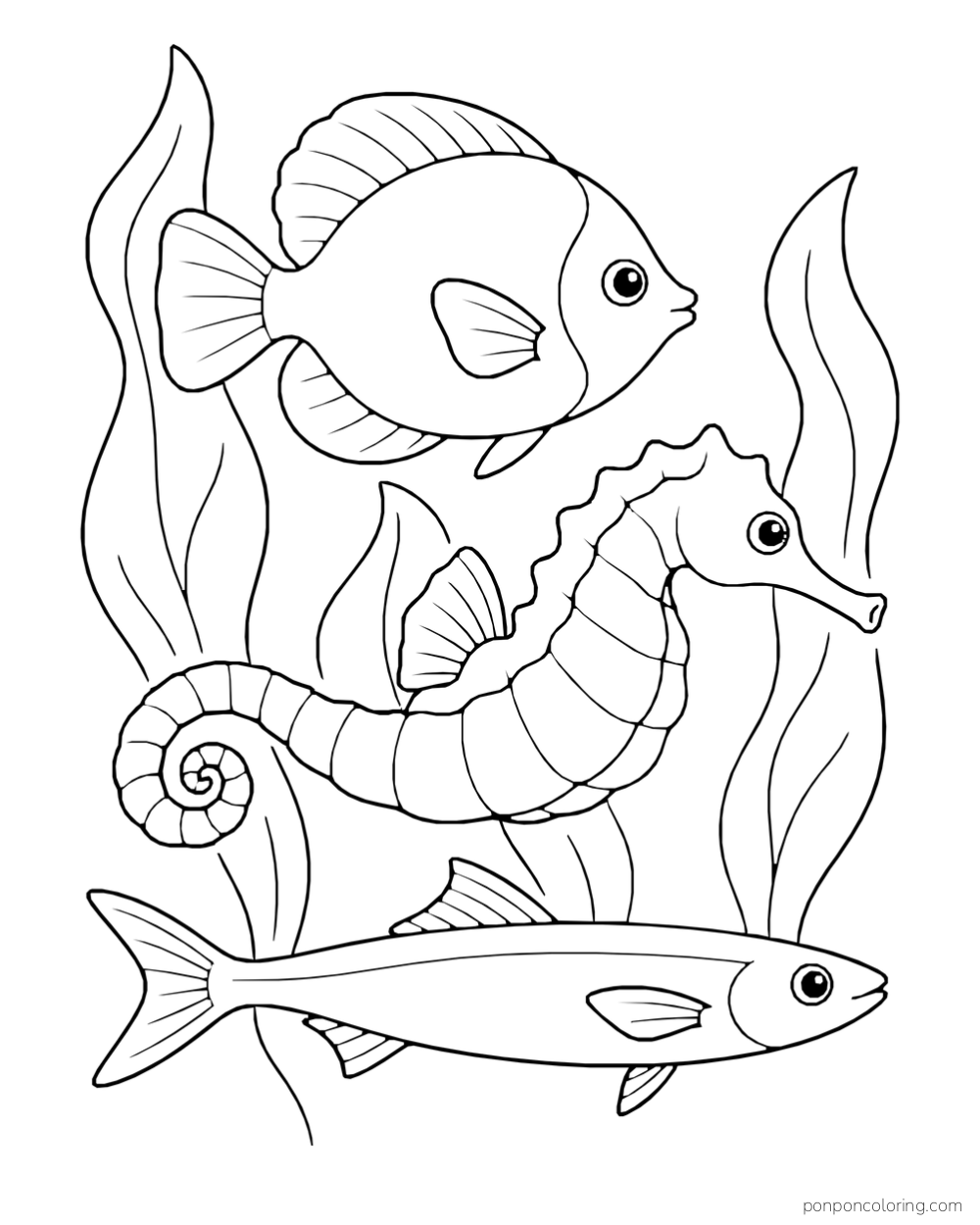 A seahorse between two differently shaped fish and several tall sea plants.