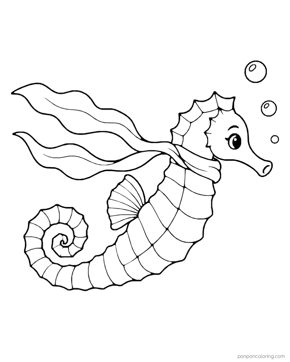A seahorse wearing a long scarf that trails behind it, with two bubbles nearby.