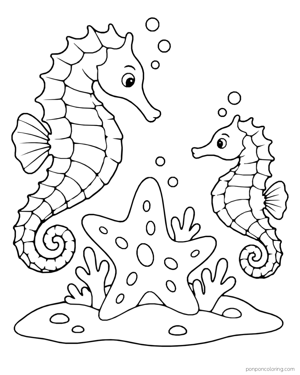 Two seahorses of different sizes facing a large starfish above a patch of sand and coral.